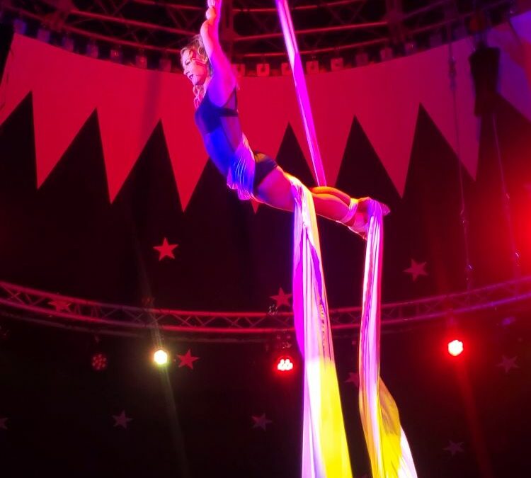 Tissu aérien, Bodega Féria Champigny