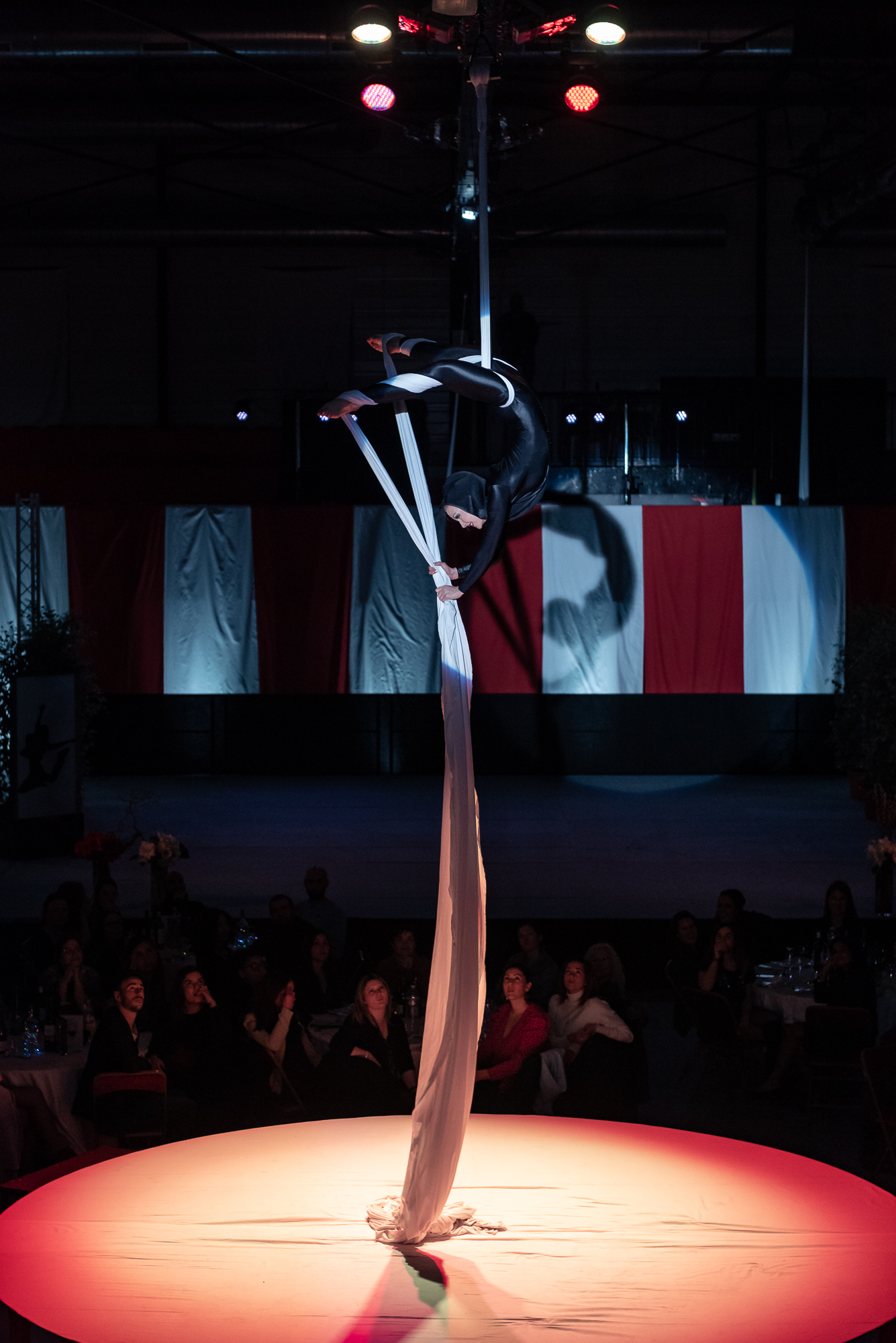 Voeux Du Maire, Soirée Cirque