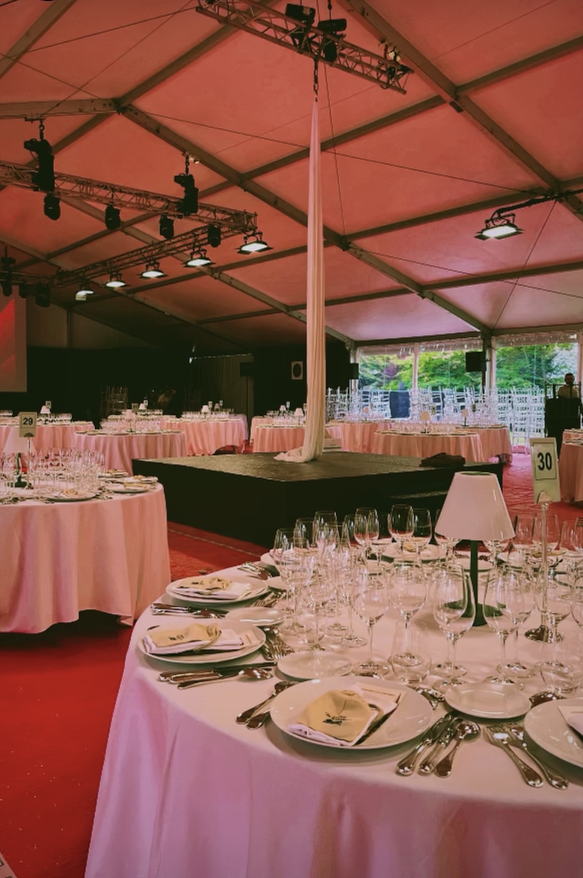 Tissu aérien au cœur d'un vignoble