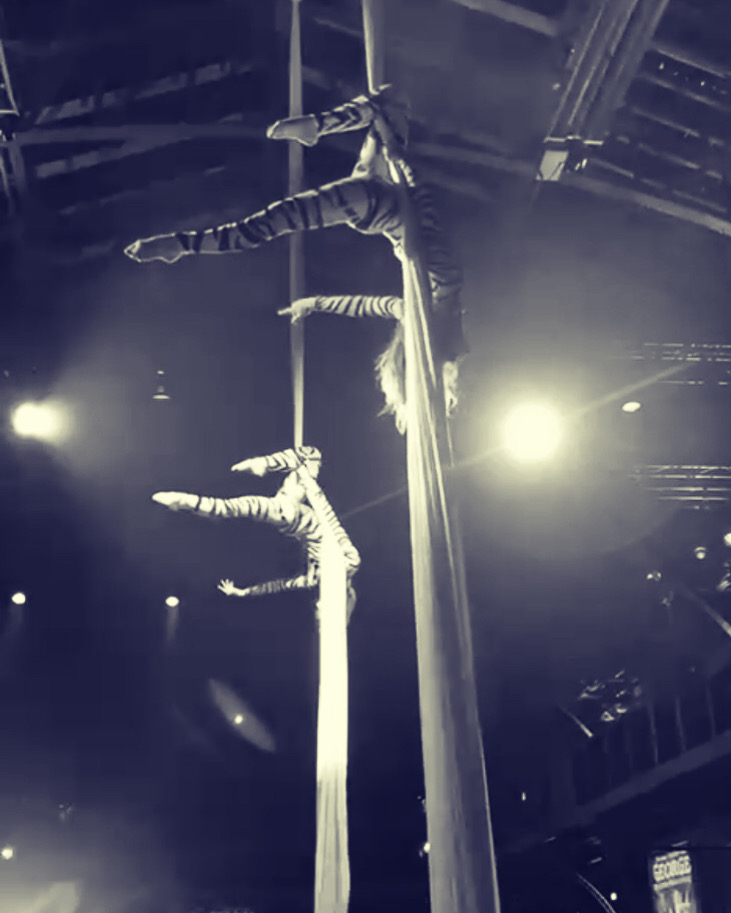 Tissu Aérien - Photo 3