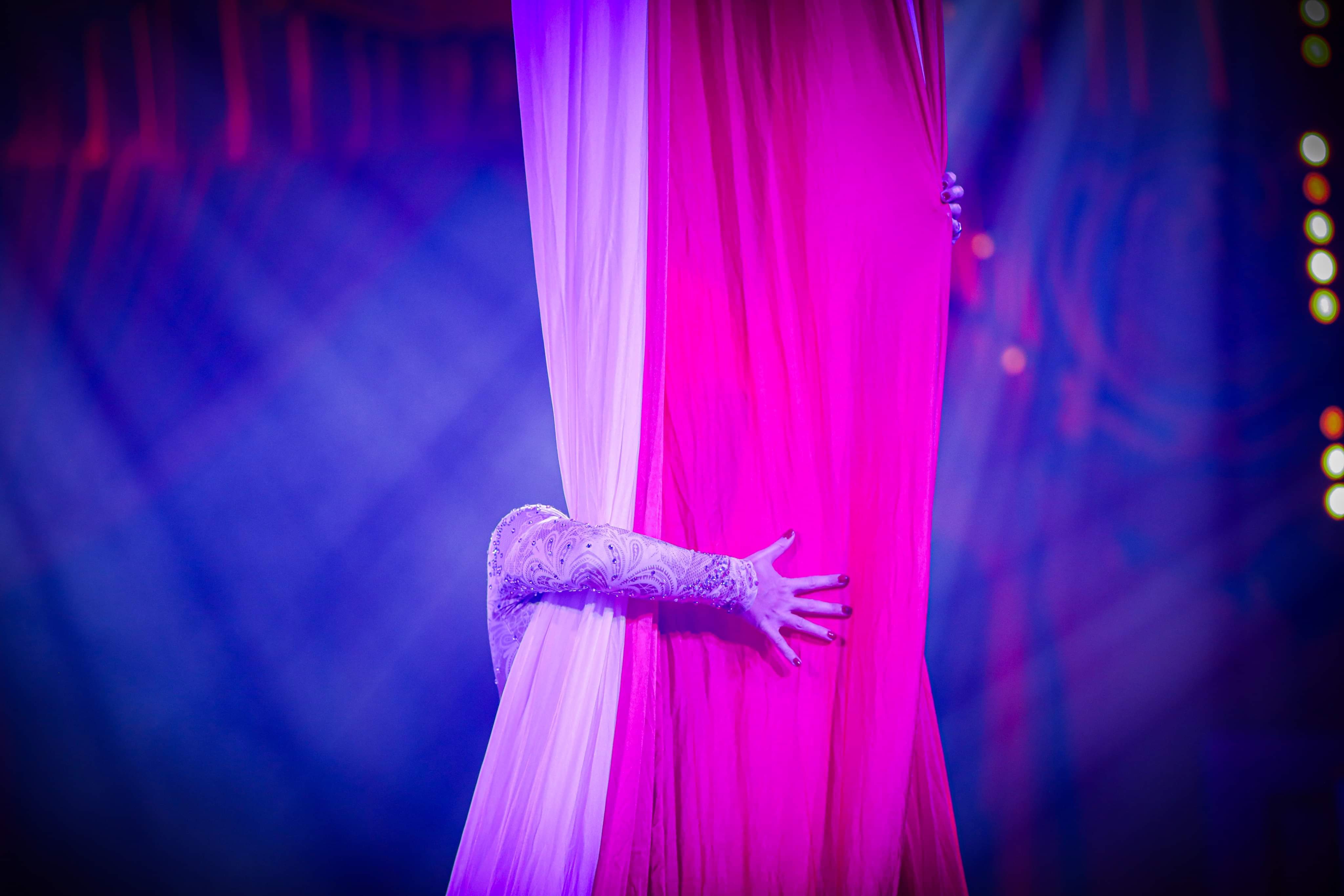 Tissu Aérien - Photo 10